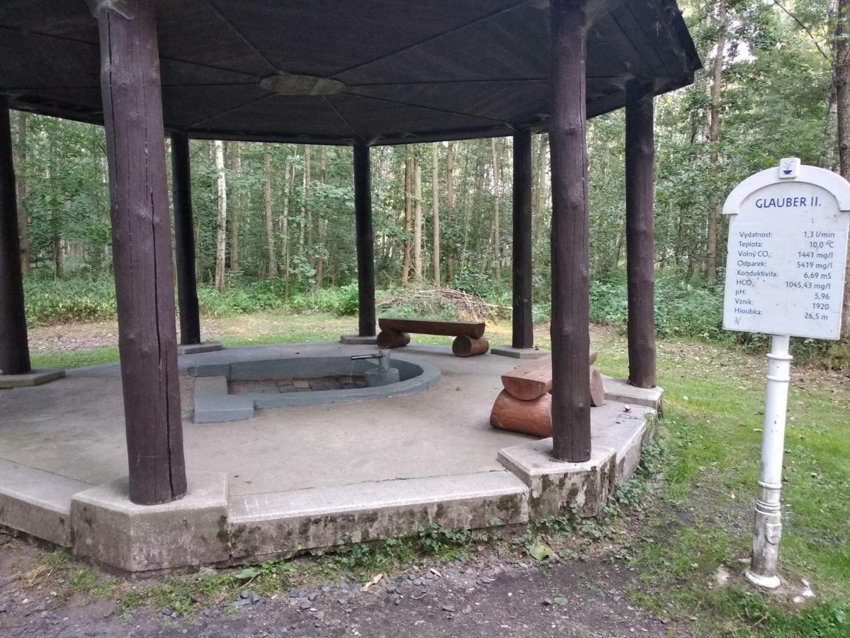 Apartments Ceska Františkovy Lázně 外观 照片