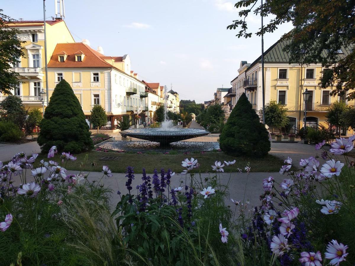 Apartments Ceska Františkovy Lázně 外观 照片
